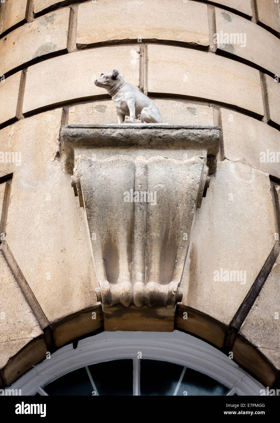 El alicate de Jack Russell de la voz del amo fama conmemoró con una escultura de piedra en un edificio de la Universidad de Bristol Foto de stock
