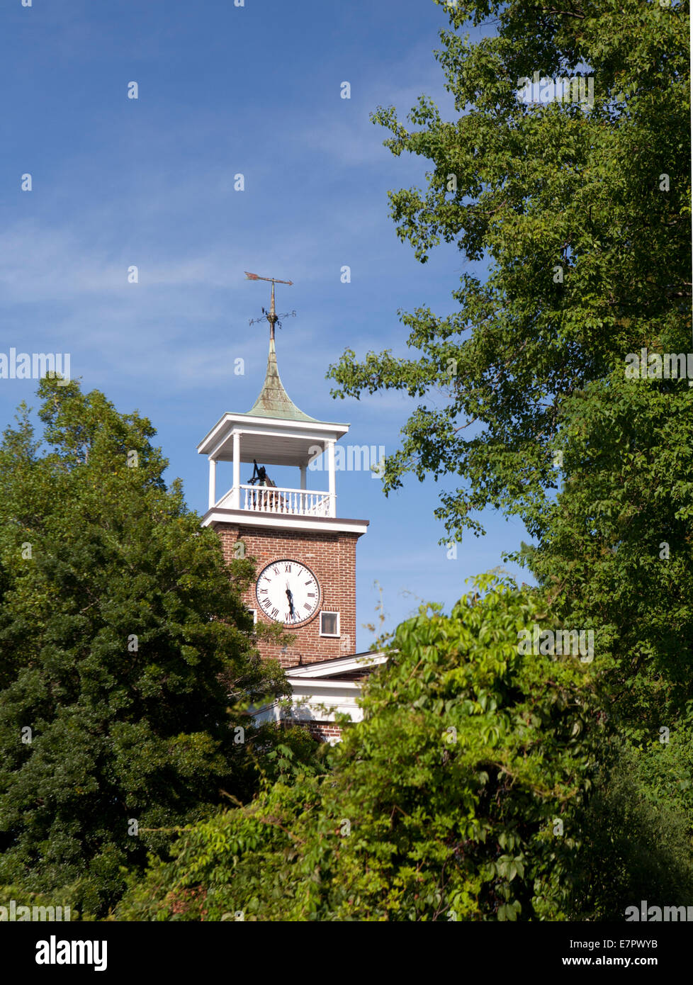 Torre del reloj visto a través de los árboles en Georgetown, Carolina del Sur. Foto de stock