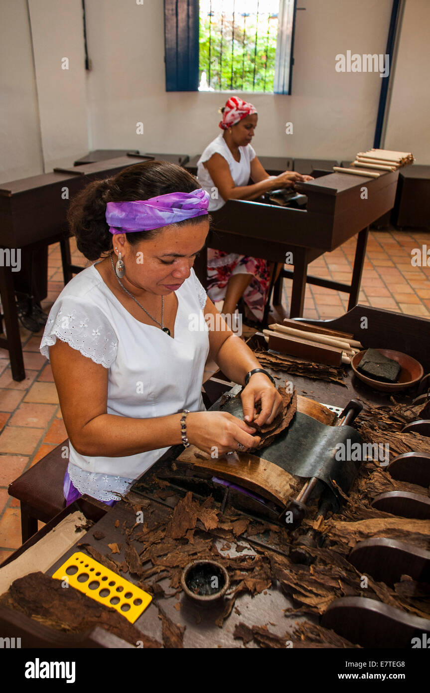 Las mujeres de rodadura en los cigarros Dannemann Cigar Company, Cachoeira, Bahia, Brasil Foto de stock