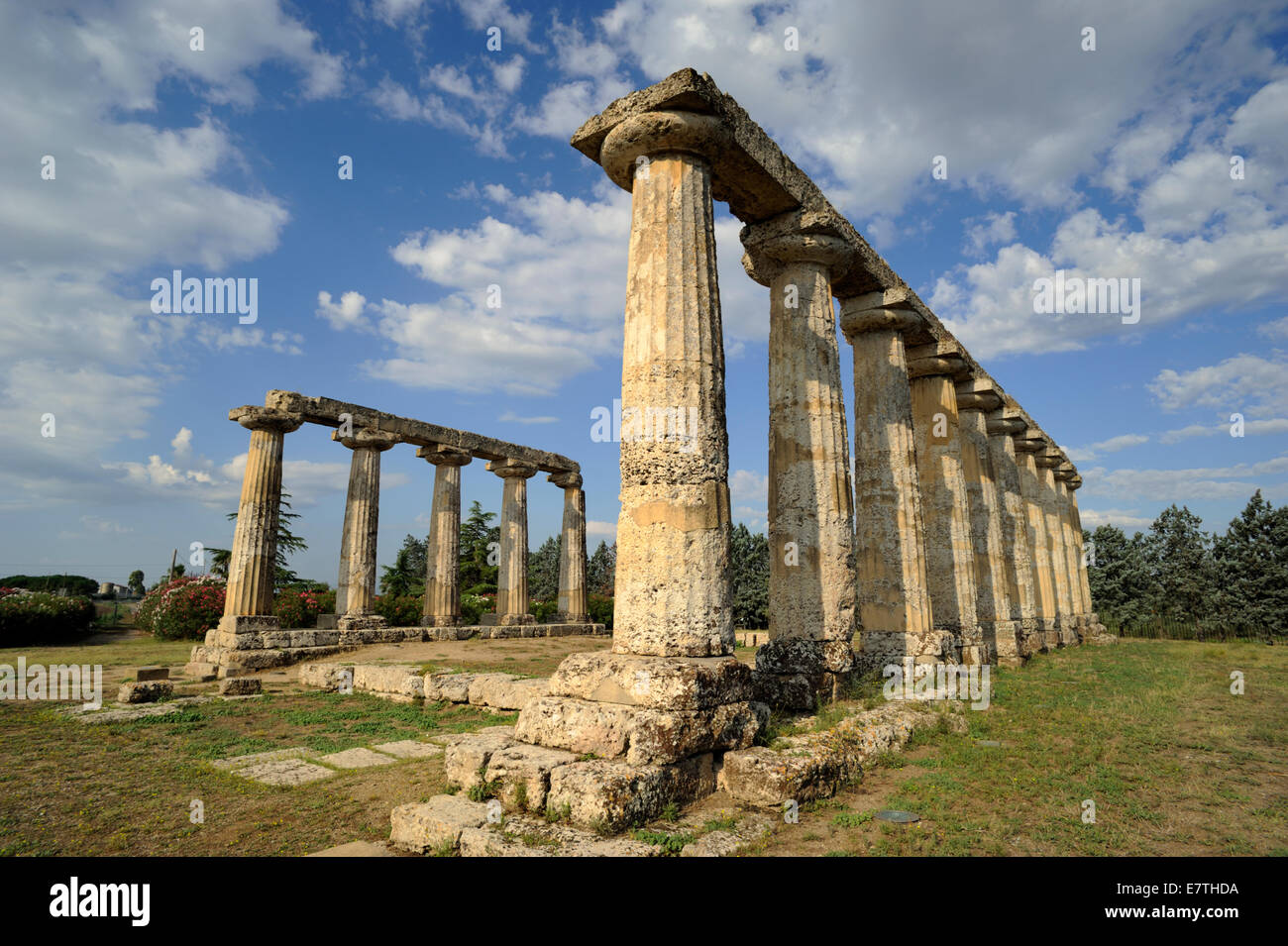 Italia, Basilicata, Metaponto, tavole palatine, templo griego de Hera Foto de stock