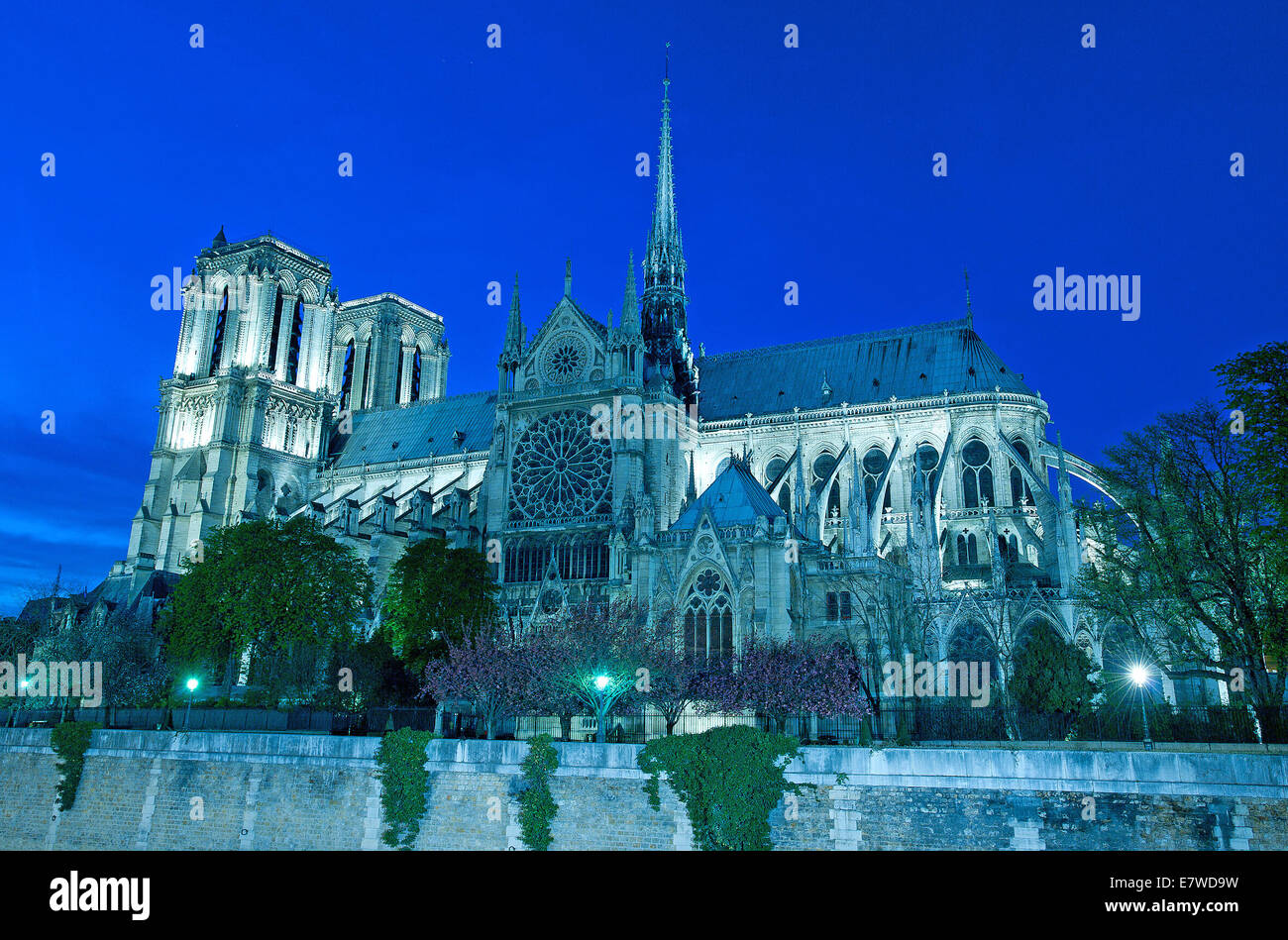 Vista de noche de la catedral de Notre Dame de Paris Foto de stock