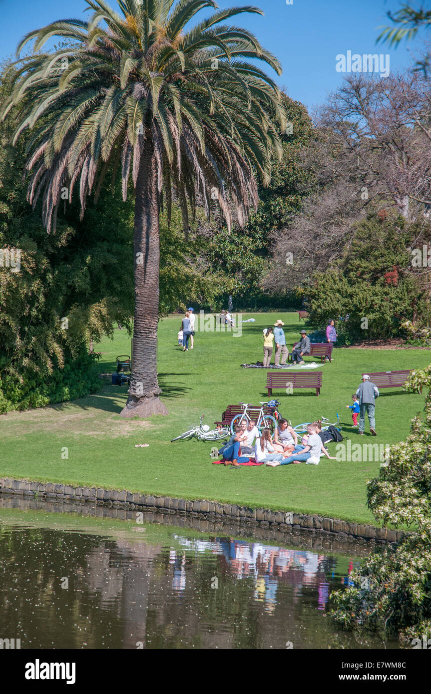 Las familias de picnic en los jardines del Real Jardín Botánico de Melbourne. Foto de stock