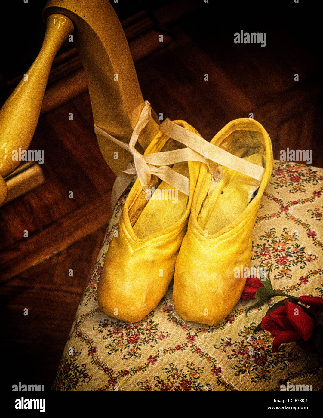 San Petersburgo fue fundada por el Zar Pedro el Grande y es la segunda  ciudad más grande de Rusia. Matilda Kshesinskaya zapatos de ballet  Fotografía de stock - Alamy