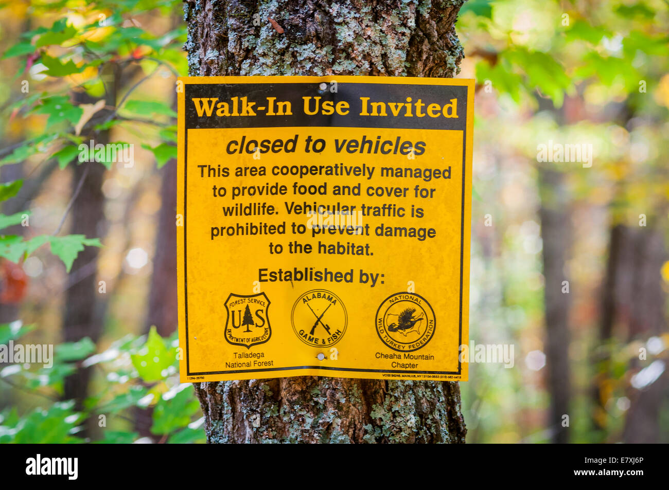 Un ' walk-in use invitados ' Servicio Forestal de Estados Unidos firmar en el Bosque Nacional de Talladega Foto de stock
