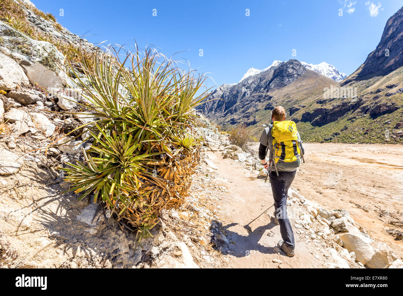 Trekking en el valle de Santa Cruz, la Cordillera Blanca, Perú, América del Sur Foto de stock