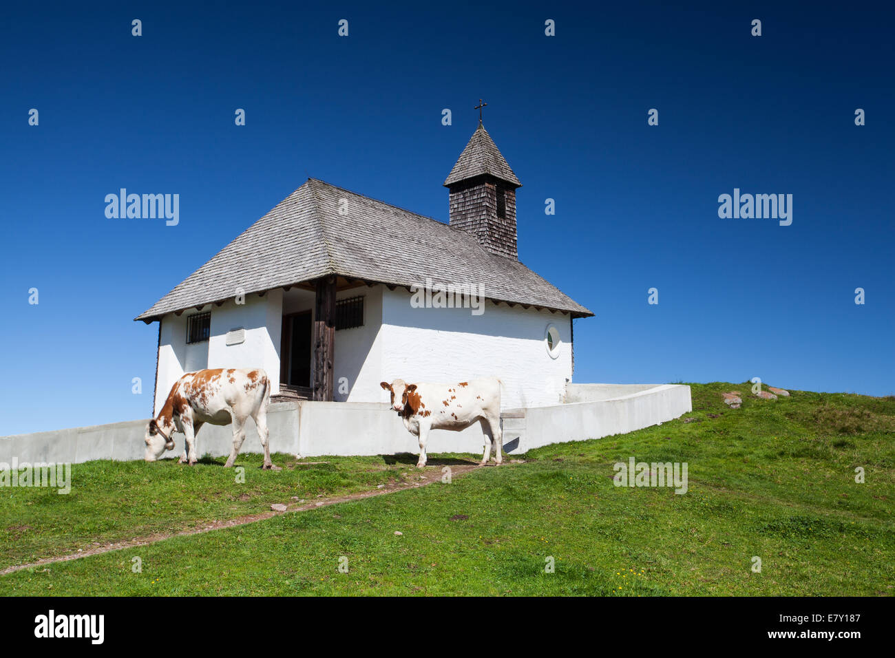 En un potrero cerca de la capilla en Titol Alpes, Austria Foto de stock