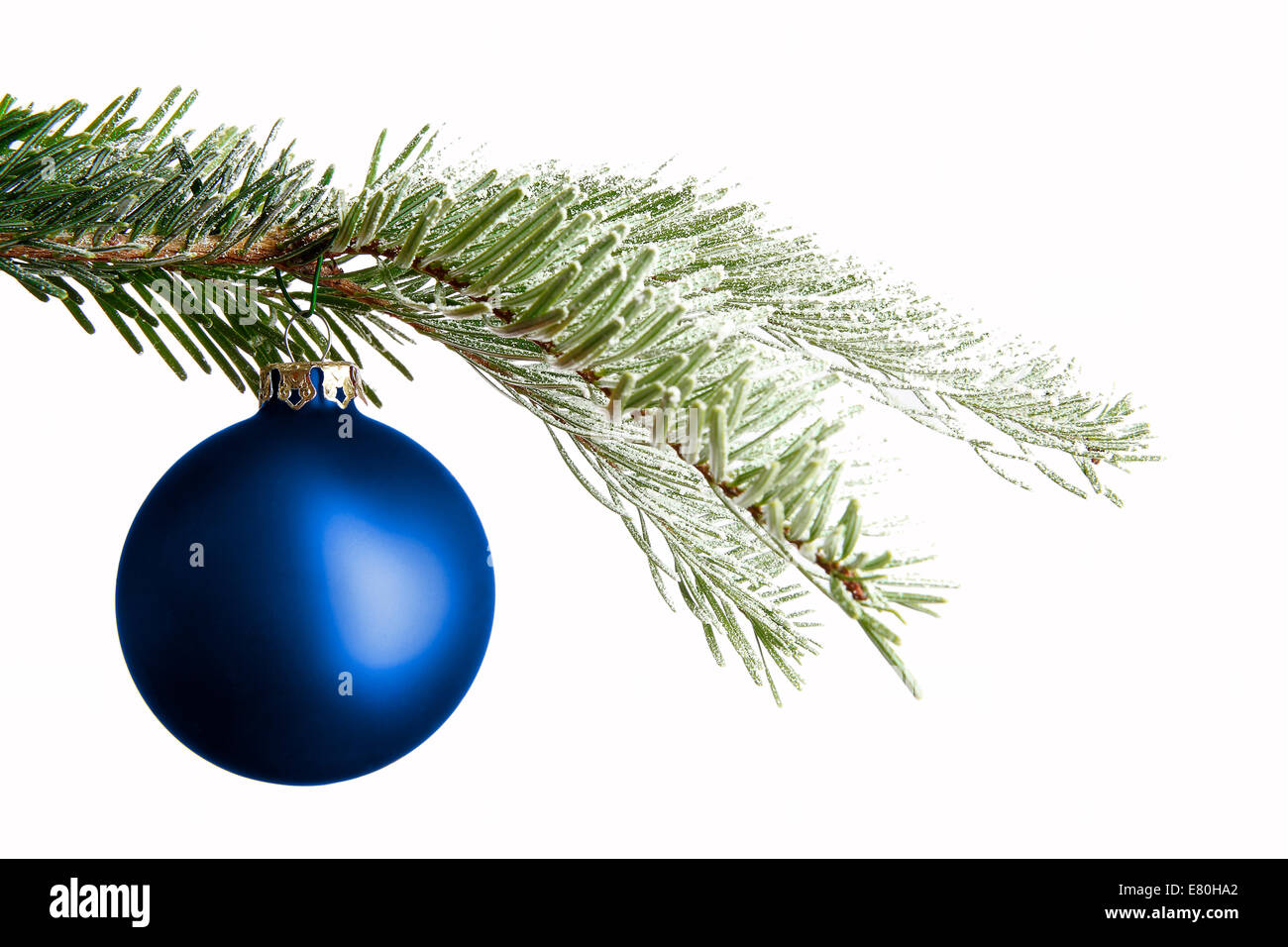 Bola de Navidad azul en una sucursal de nevadas aisladas en frente de un fondo blanco. Foto de stock