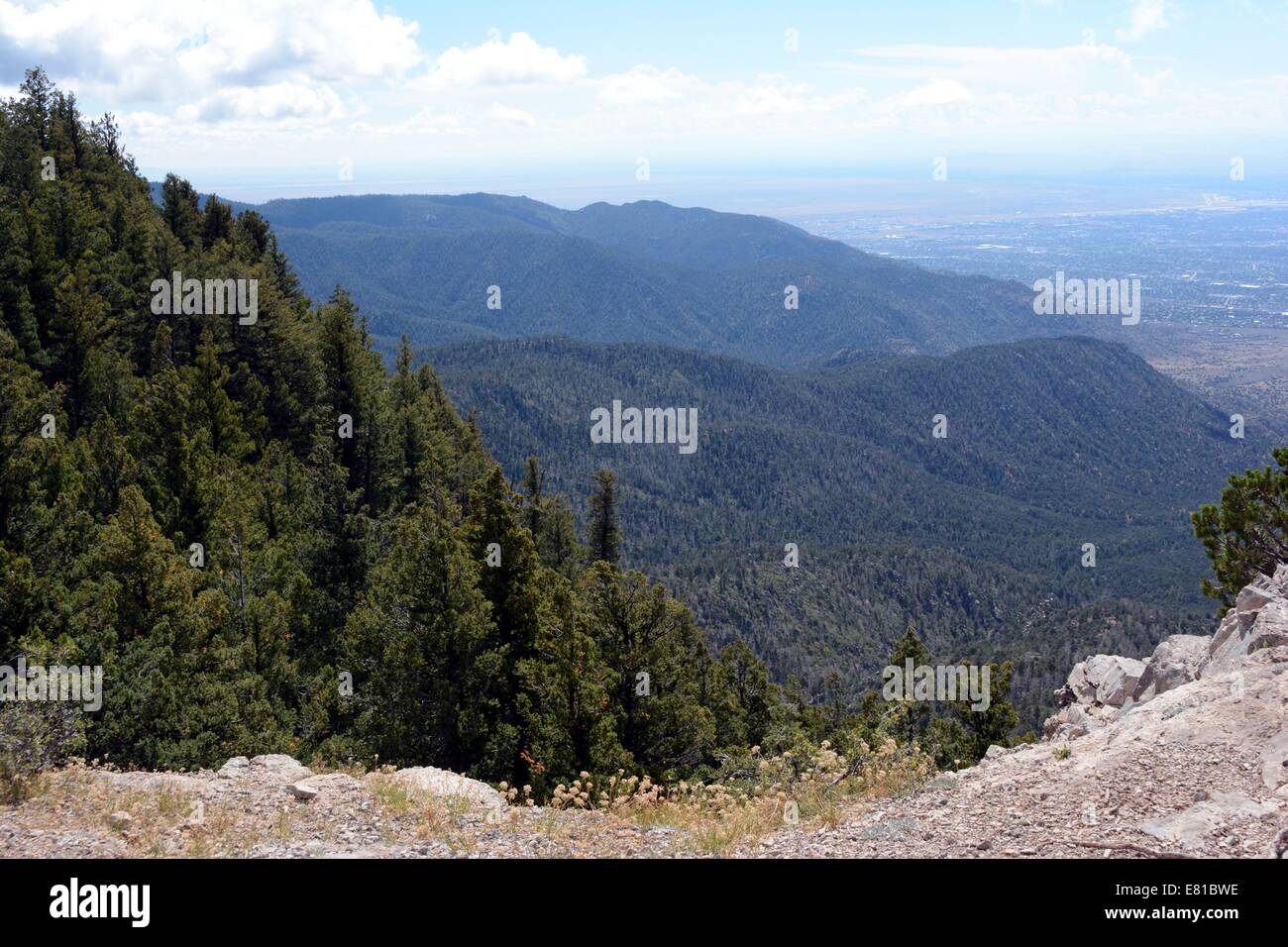 La parte superior del resorte de árbol Trail Montañas Sandia Nuevo México - Estados Unidos Foto de stock