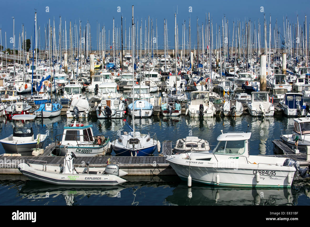 Veleros atracó en el puerto deportivo de el puerto Chantereyne en Cherbourg, Baja Normandía, Francia Foto de stock