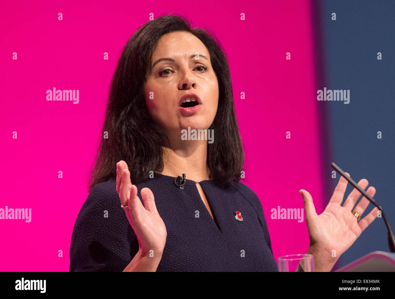 Caroline Flint-MP para el Dow Valley-Shadow secretario de estado de comunidades y gobierno local. Foto de stock