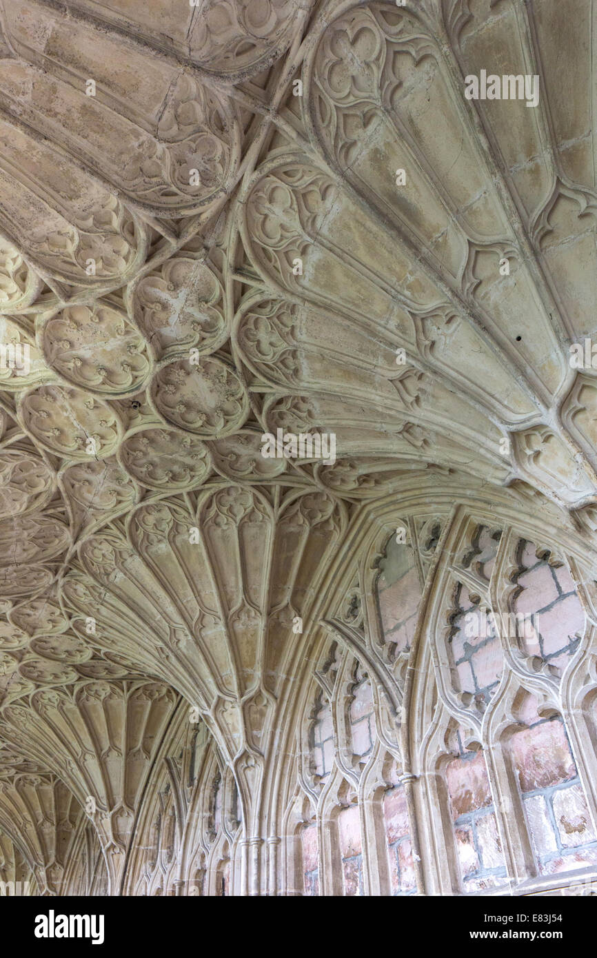 Ventilador de estilo gótico bóvedas en el este claustro, catedral de Gloucester, Gloucestershire, Inglaterra, Reino Unido. Foto de stock