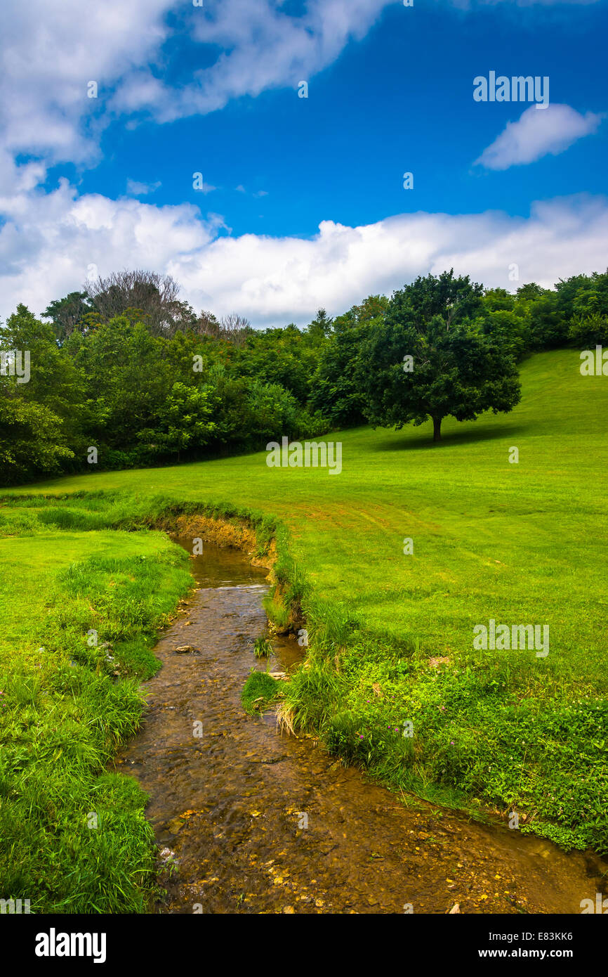 Creek y el campo rural en el condado de Carroll, Maryland. Foto de stock