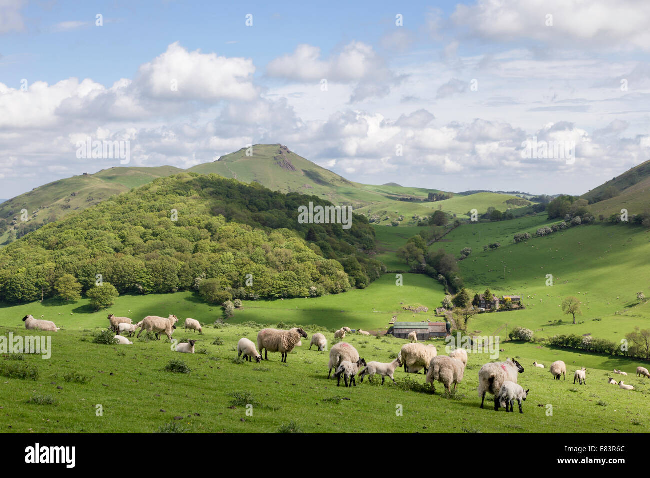 Shropshire Hills cerca de Church Stretton con Caer Caradoc y Esperanza Bowdler colinas en la distancia, Shropshire, Inglaterra, Reino Unido. Foto de stock