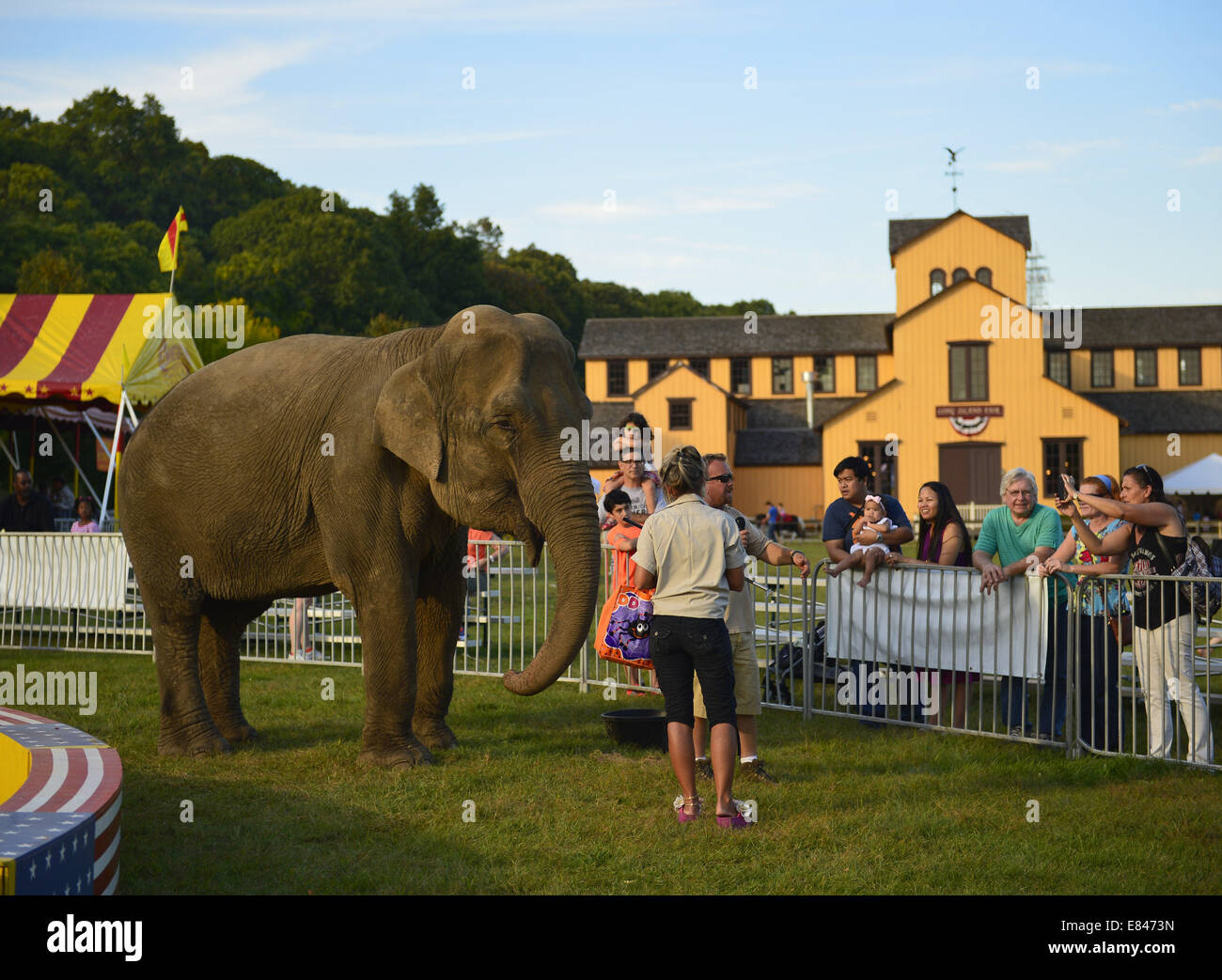 Old Bethpage, Nueva York, Estados Unidos. 28 Sep, 2014. Las familias buscar y aprender acerca de Minnie las 8.000 libras en el elefante africano El elefante espectáculo, con la sala de exposiciones en el fondo, en la 172ª Feria de Long Island, una caída de seis días de feria del condado, celebrado a fines de septiembre y principios de octubre. Un evento anual desde 1842, el antiguo festival está ahora detenido en un recinto ferial reconstruidos en Old Bethpage Village restauración. © Ann Parry/Zuma alambre/Alamy Live News Foto de stock