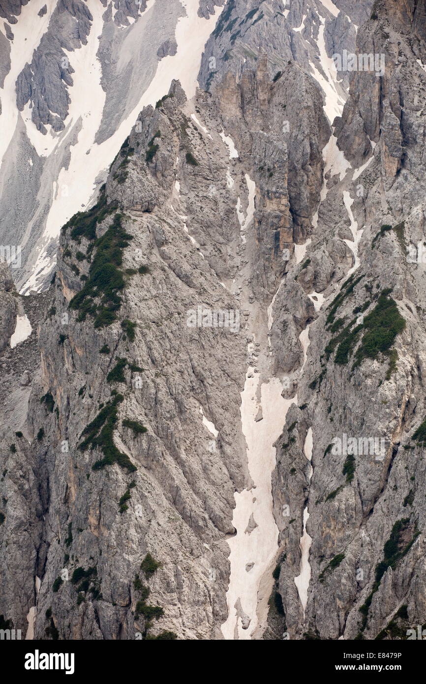 La erosión de la dolomita en empinadas colinas y valles, con pinos enanos en las crestas, Dolomitas, Italia Foto de stock