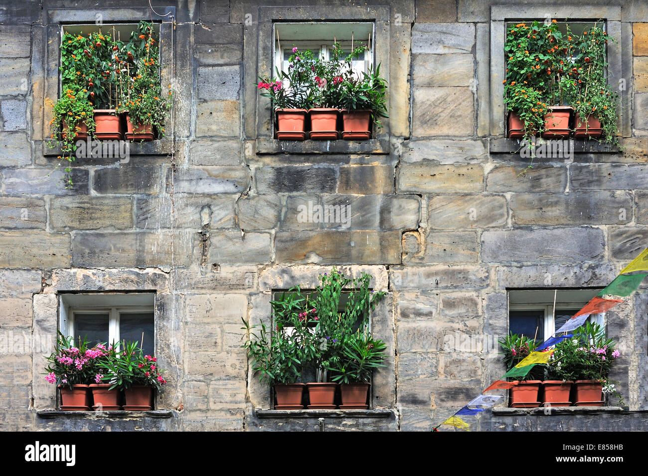 Ventana fachada decorada con plantas en macetas, Bayreuth, Baviera, Alemania Foto de stock
