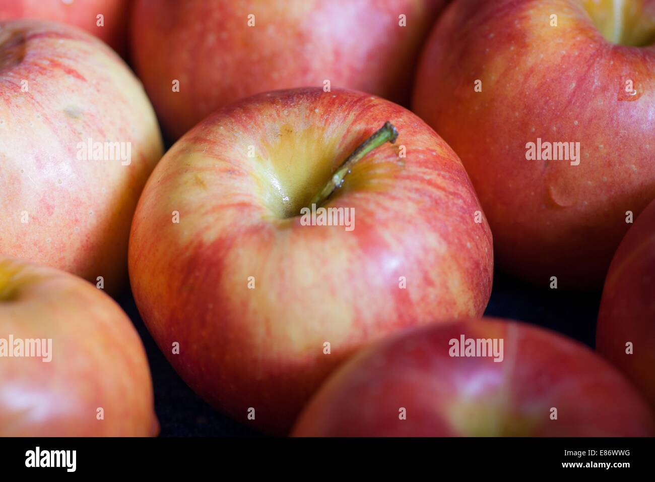 https://c8.alamy.com/compes/e86wwg/muchas-manzanas-maduras-en-el-mercado-al-aire-libre-candid-shot-e86wwg.jpg