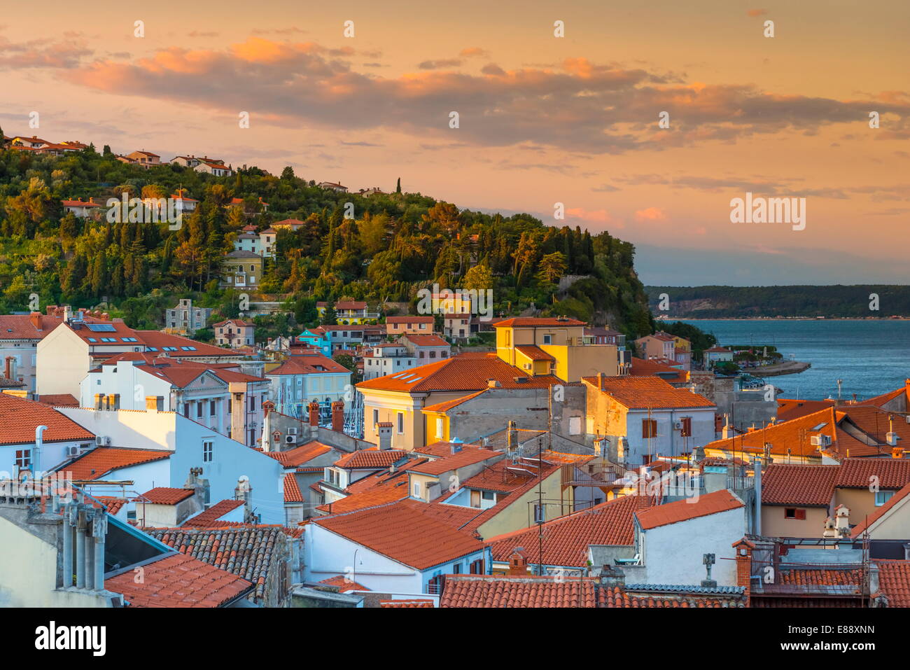 Los tejados de la ciudad vieja, Piran, Primorska, Istria eslovena, Eslovenia, Europa Foto de stock