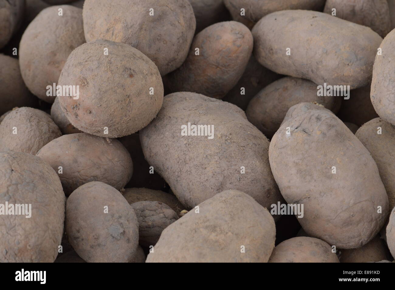 Patatas Foto de stock