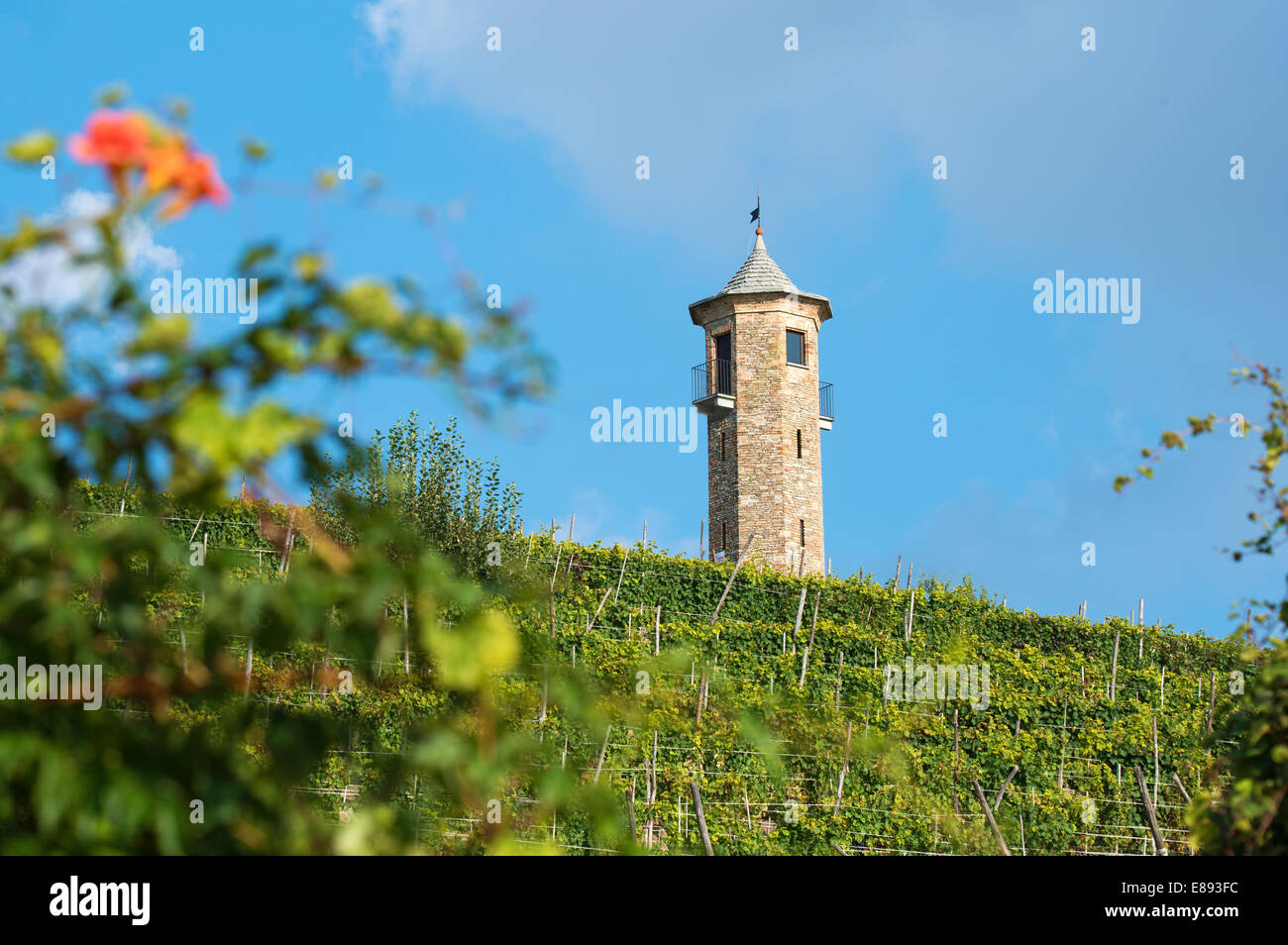 Italia,los viñedos de Piamonte: Langhe-Roero y Monferrato en la Lista del Patrimonio Mundial de la UNESCO.La Torre dei Contini de Canelli,Asti Foto de stock