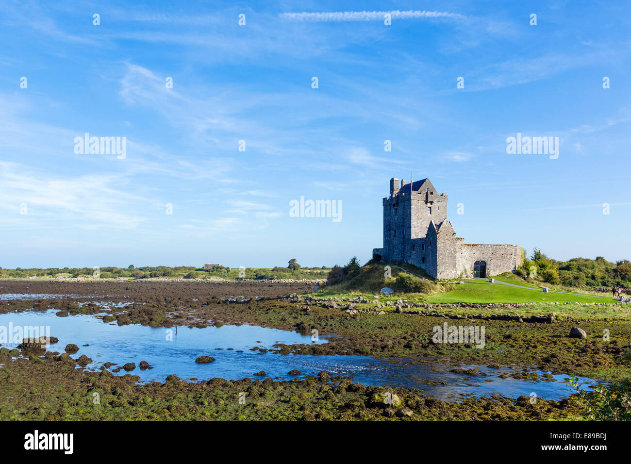 Dunguaire Castle, un 16thC Tower House cerca Kinvarra, La Bahía de Galway, Condado de Galway, República de Irlanda Foto de stock