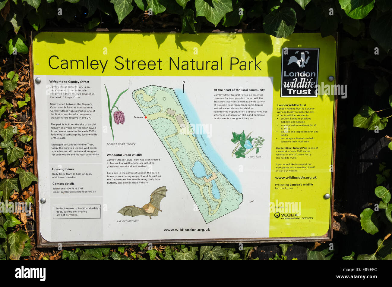 El Parque Natural de Camley Street Kings Cross en Londres England Reino Unido Foto de stock