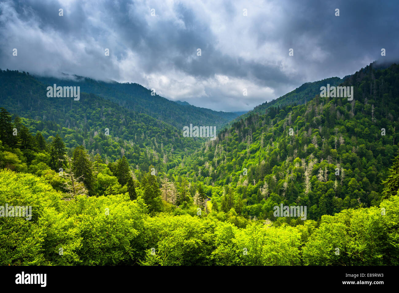 Vista espectacular de las Montañas Apalaches desde Newfound Gap Road, en el Parque Nacional Great Smoky Mountains National Park, Tennessee. Foto de stock