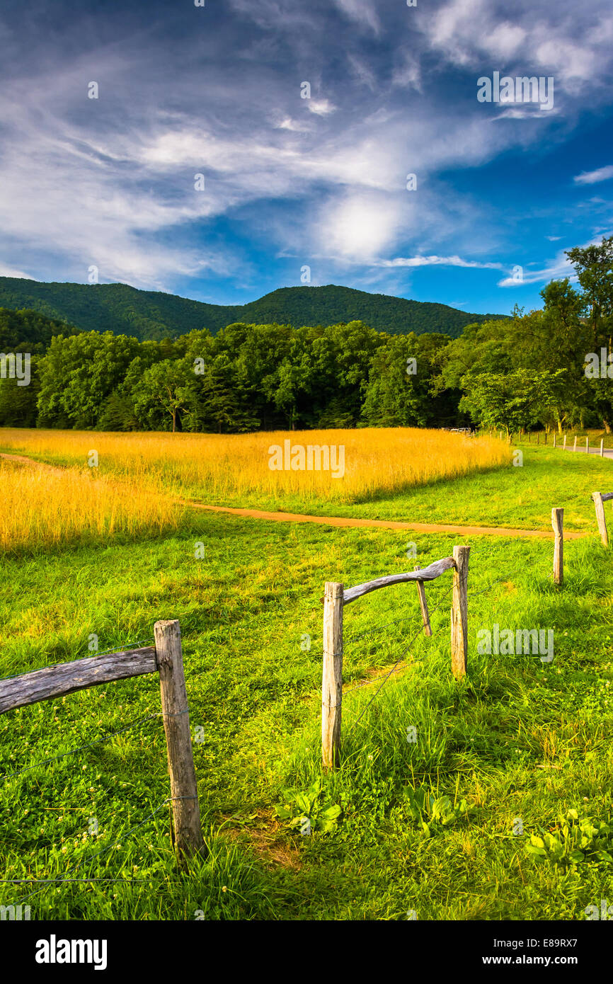Valla y campo a Cade's Cove, Great Smoky Mountains National Park, Tennessee. Foto de stock
