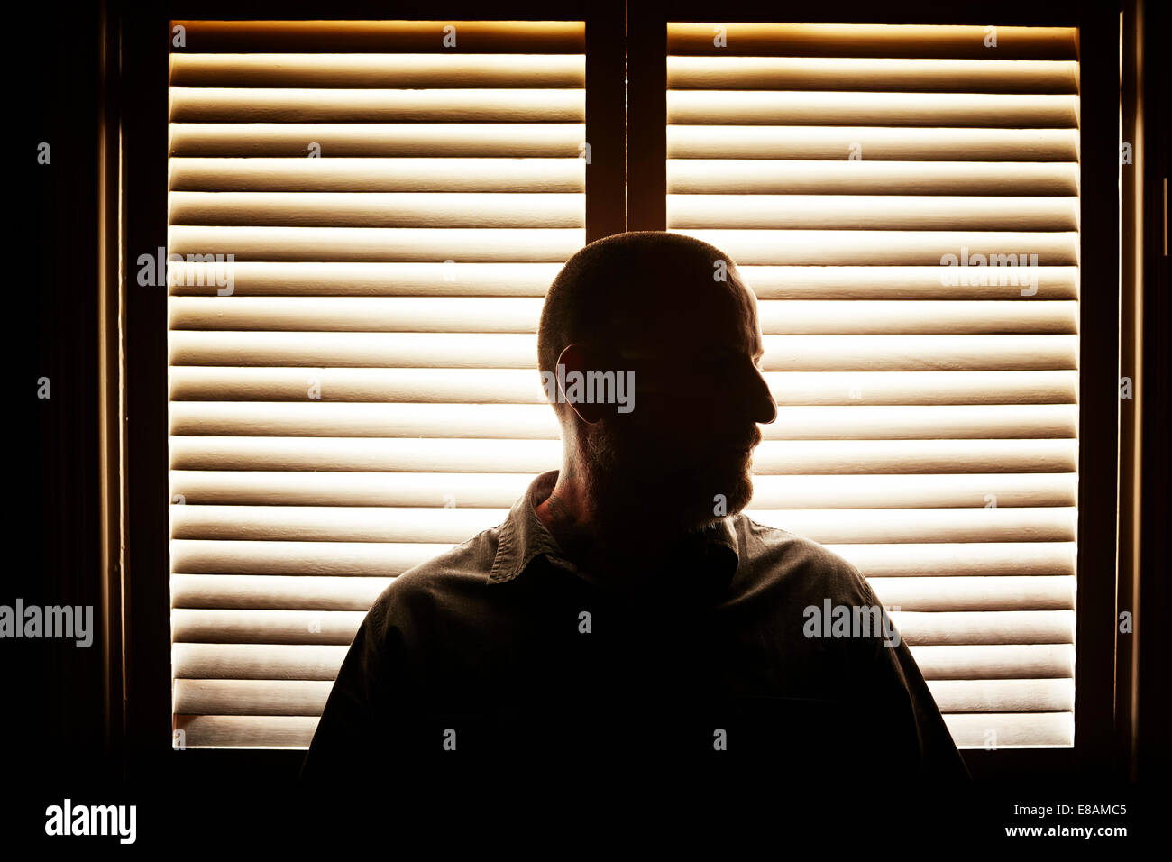 Retrato de siluetas de hombre maduro, delante de la ventana ciega Foto de stock