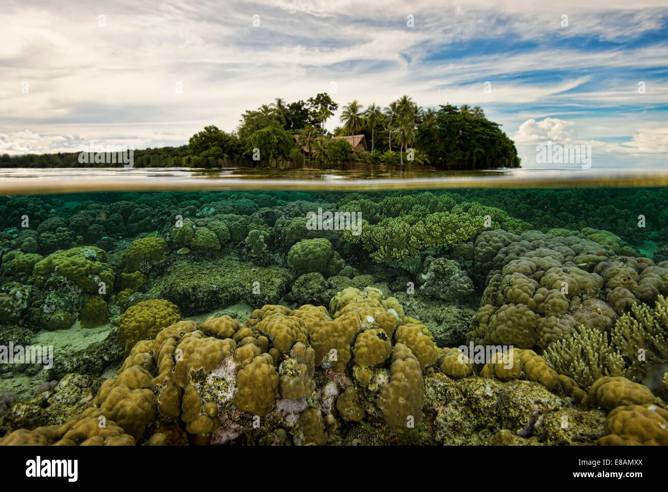 Arrecifes por debajo de la línea de agua, Uepi Island, Nueva Bretaña, Islas Salomón Foto de stock