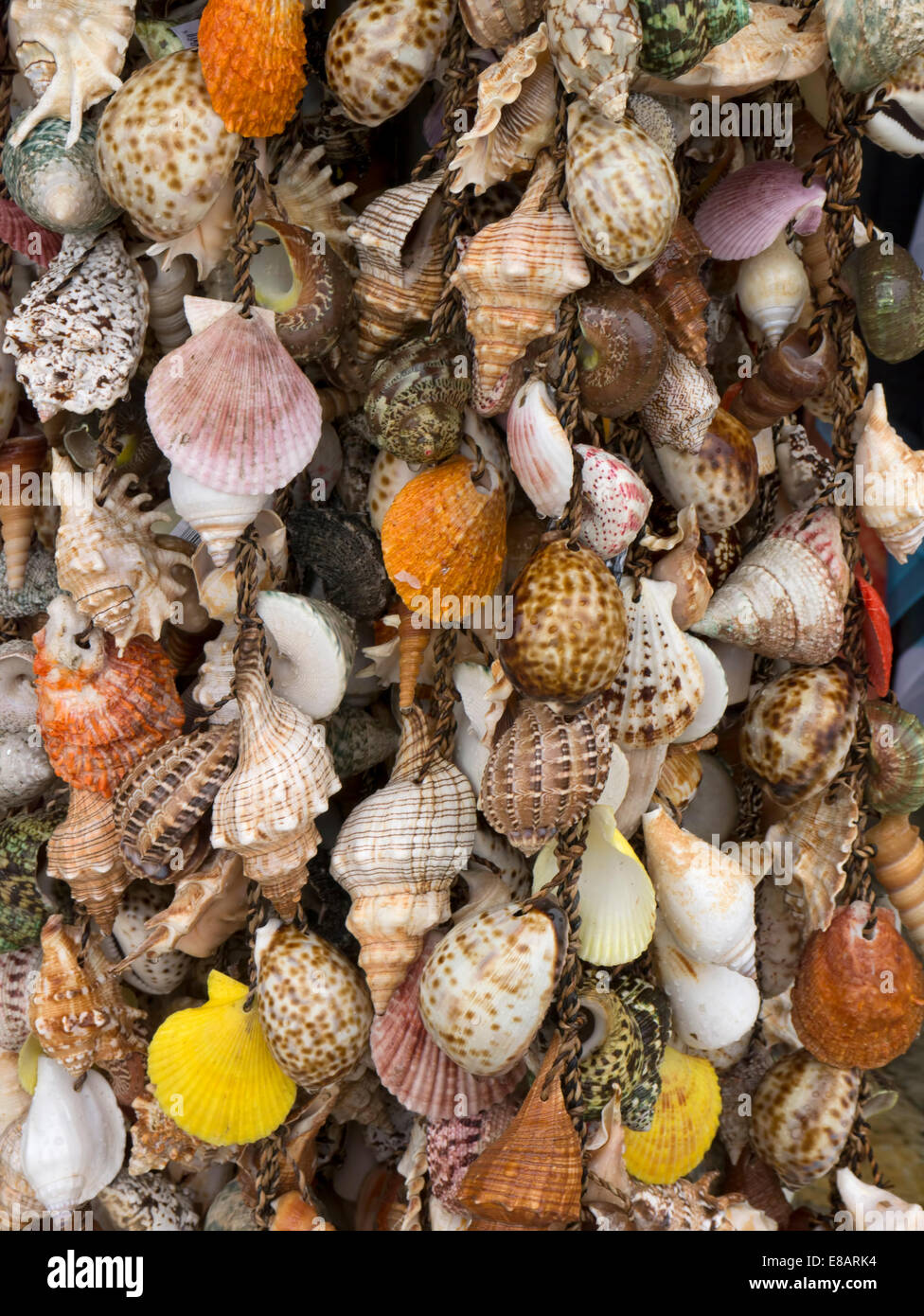 El colorido de los crustáceos del mar en exposición en Grecia. Foto de stock
