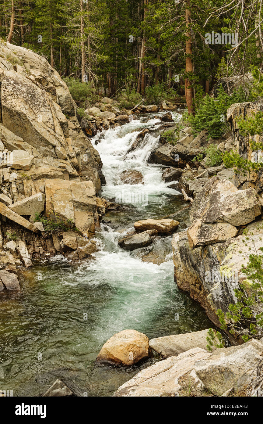 Waterfall rapids en Evolution Creek, en el Parque Nacional Kings Canyon Foto de stock