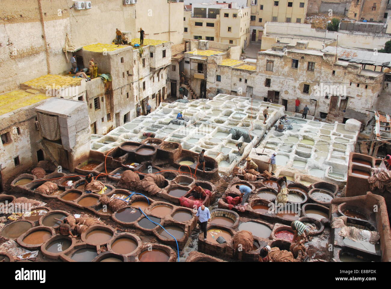 Marruecos. Fez. Los hombres en la tenería. Medina. Curar las pieles. El teñido de pieles. Sitio web de la UNESCO. Cal pots. Los tintes naturales. atracción turística. Foto de stock