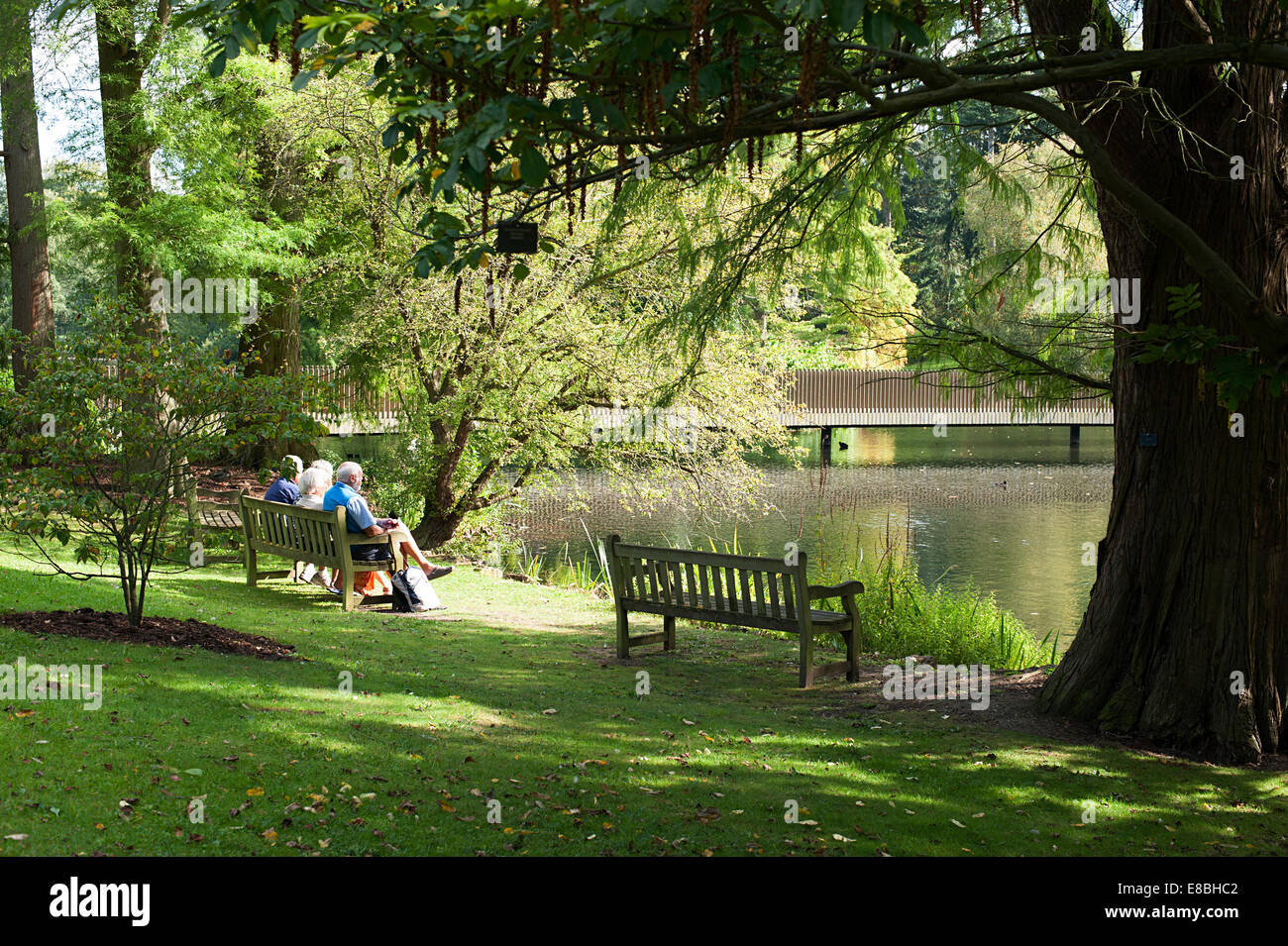 Cuatro ancianos sentados en un banco cerca del lago en Kew Gardens en un hermoso día de otoño. Foto de stock