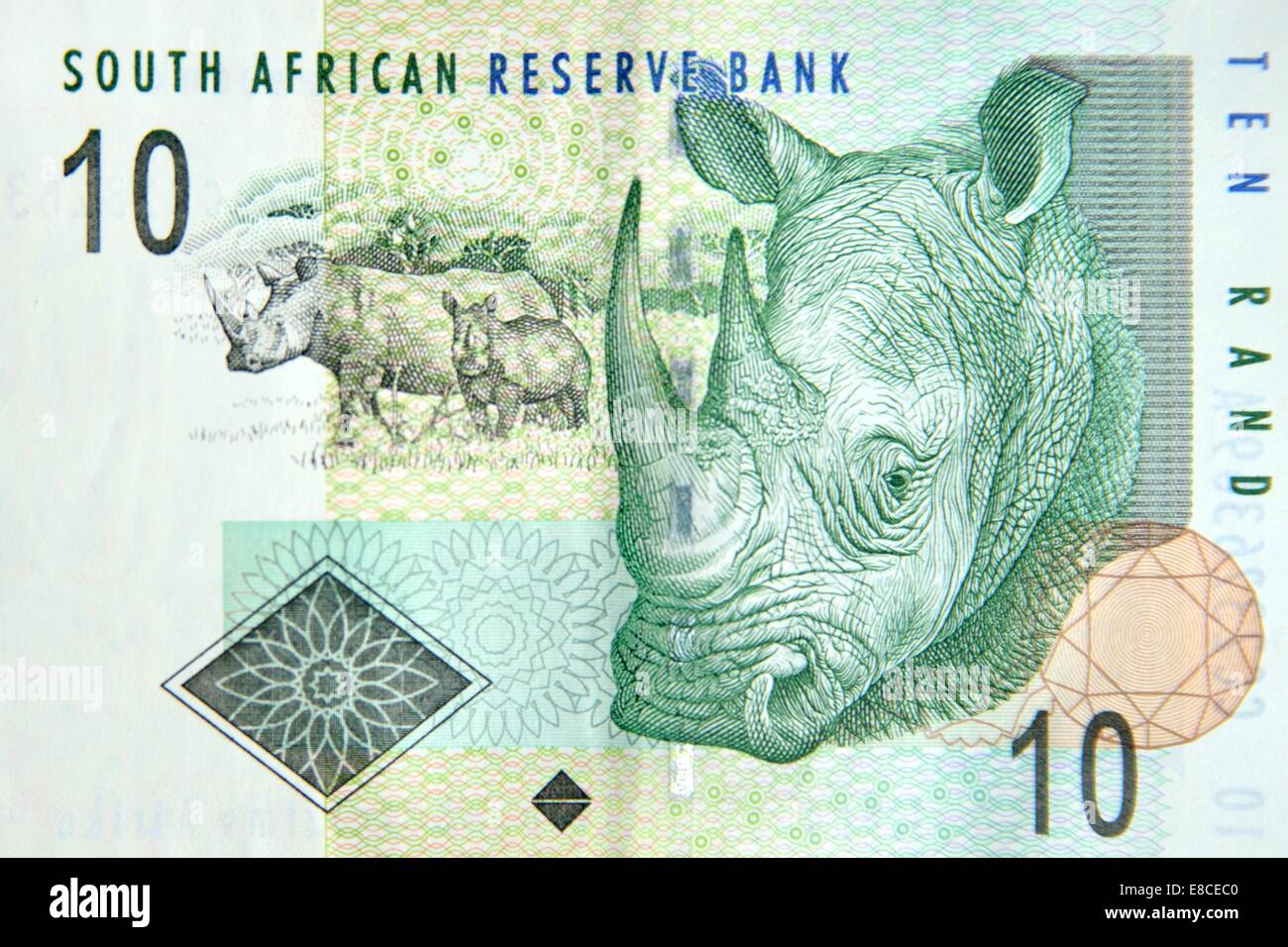 South African Rand diez nota que retrata a un rinoceronte blanco. Foto de stock