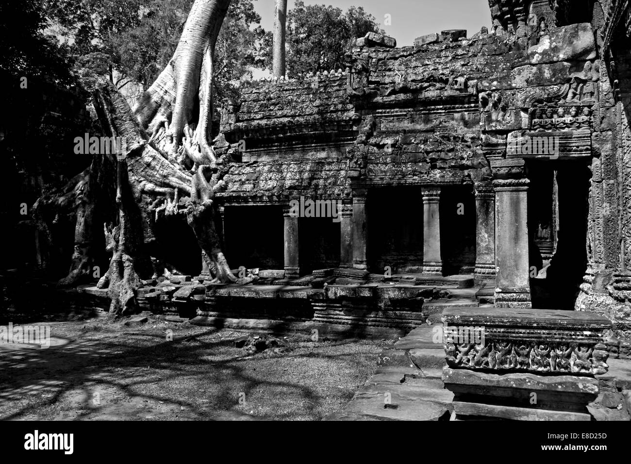East Entrance, Templo de Preah Khan, Angkor Wat, Camboya Foto de stock