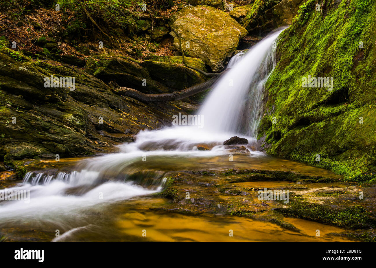 Cascada de agua y cascadas en un arroyo en Holtwood, Pennsylvania. Foto de stock