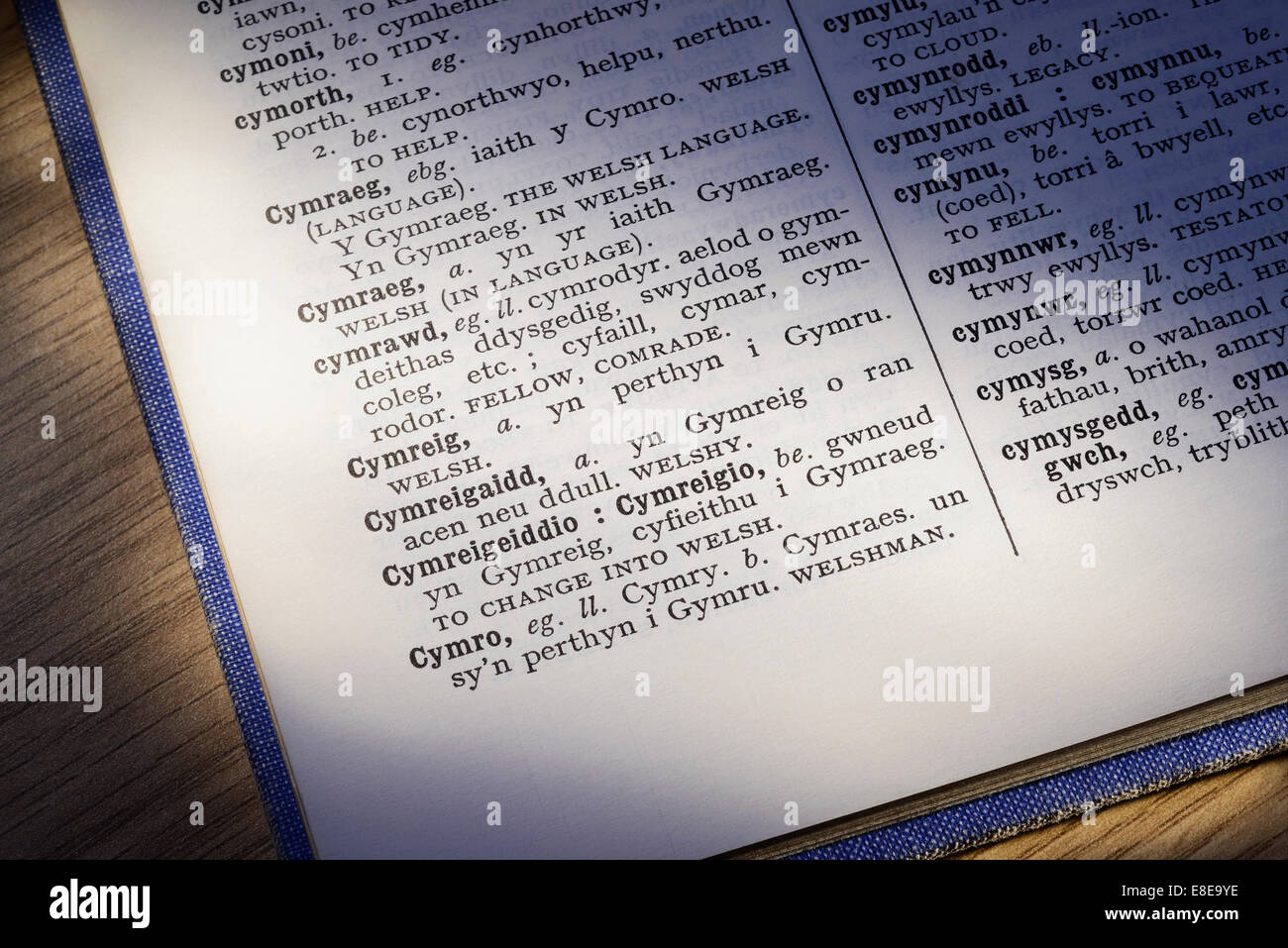 Cerrar detalle de un diccionario inglés galés Foto de stock