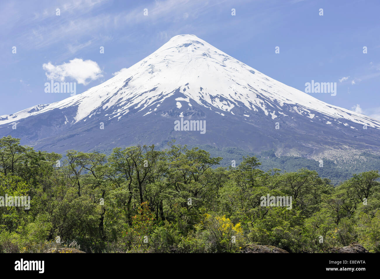 El volcán Osorno, el Parque Nacional Vicente Pérez Rosales, Puerto Varas, Región de Los Lagos, Chile Foto de stock