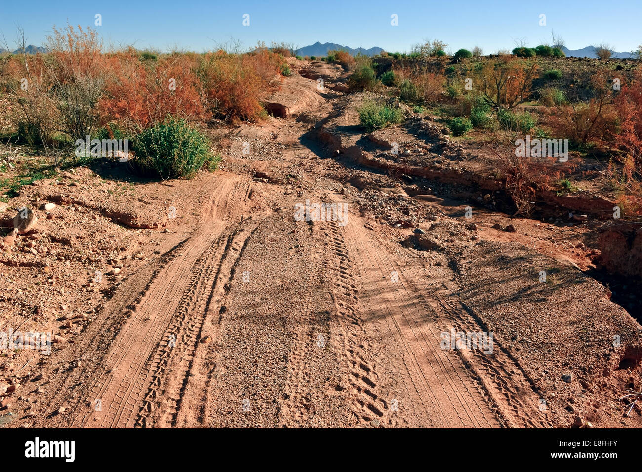 Ee.Uu., del Condado de Maricopa, Arizona, Gila Bend, descolorido en la vieja carretera del Valle de cítricos Foto de stock