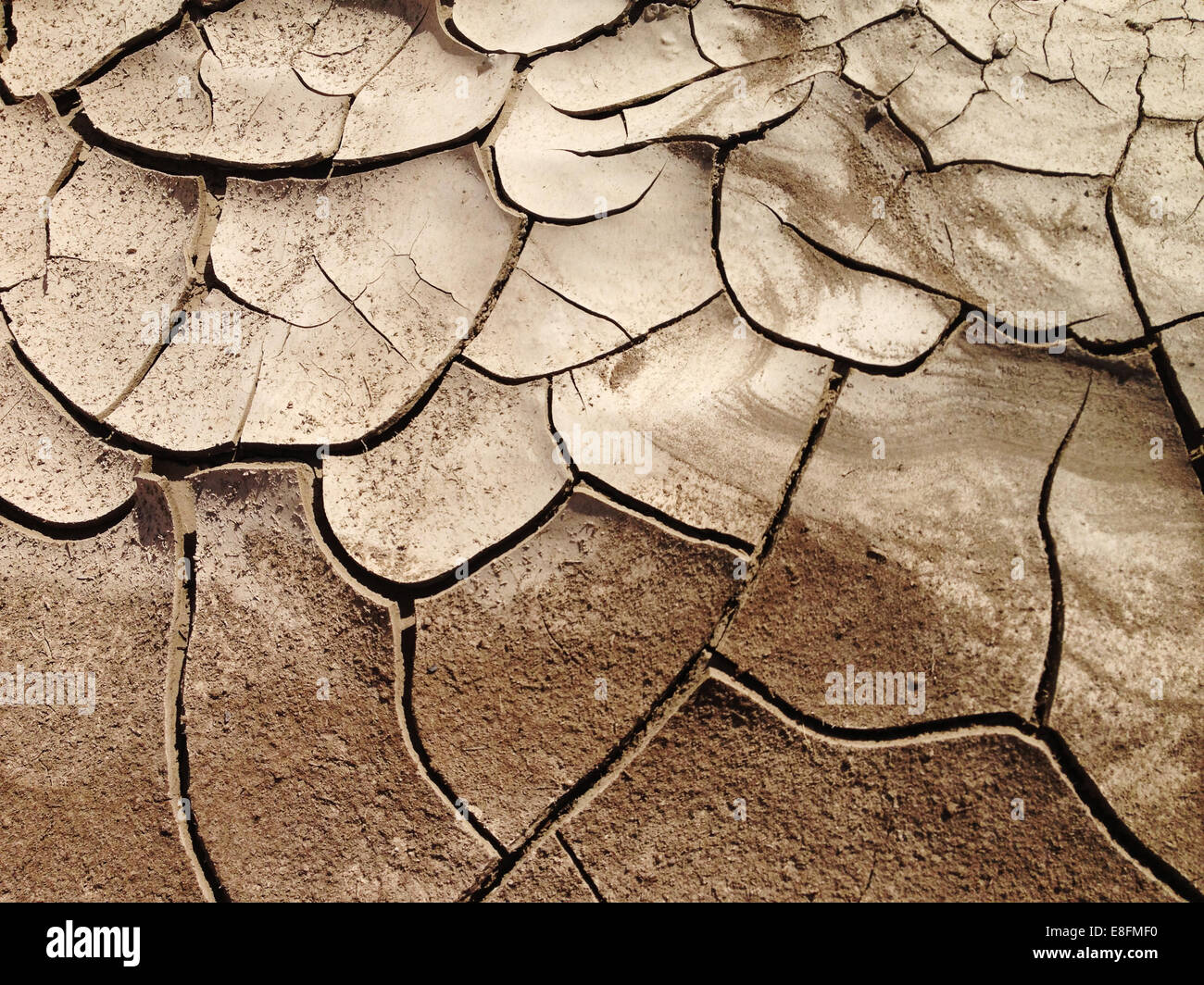 Estados Unidos, Nevada, agrietado, la tierra seca la tierra en sequía Foto de stock