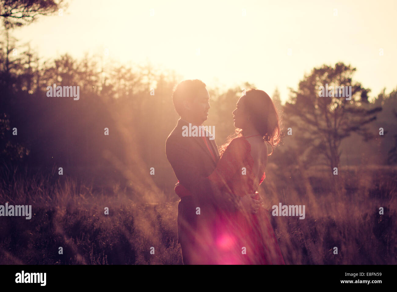 Países Bajos, retrato de pareja en pradera permanente Foto de stock
