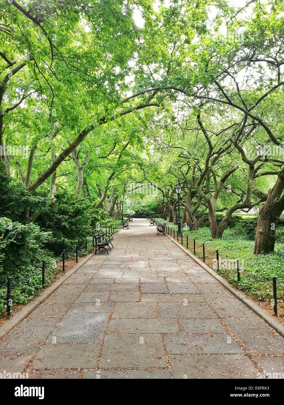 Ee.Uu., Estado de Nueva York, Ciudad de Nueva York, Recorrido en Central Park. Foto de stock