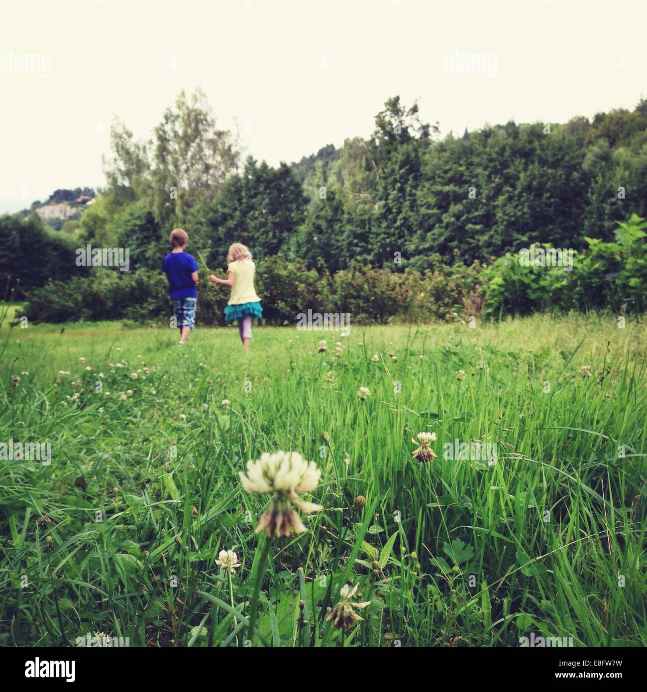 Niño y niña caminando en un prado Foto de stock