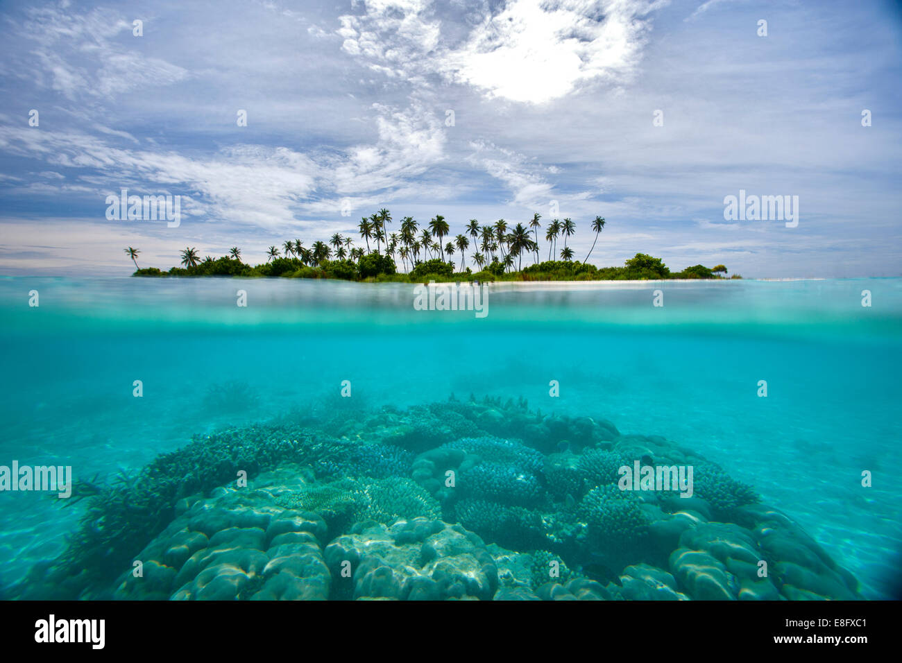 Isla Tropical, Maldivas Foto de stock