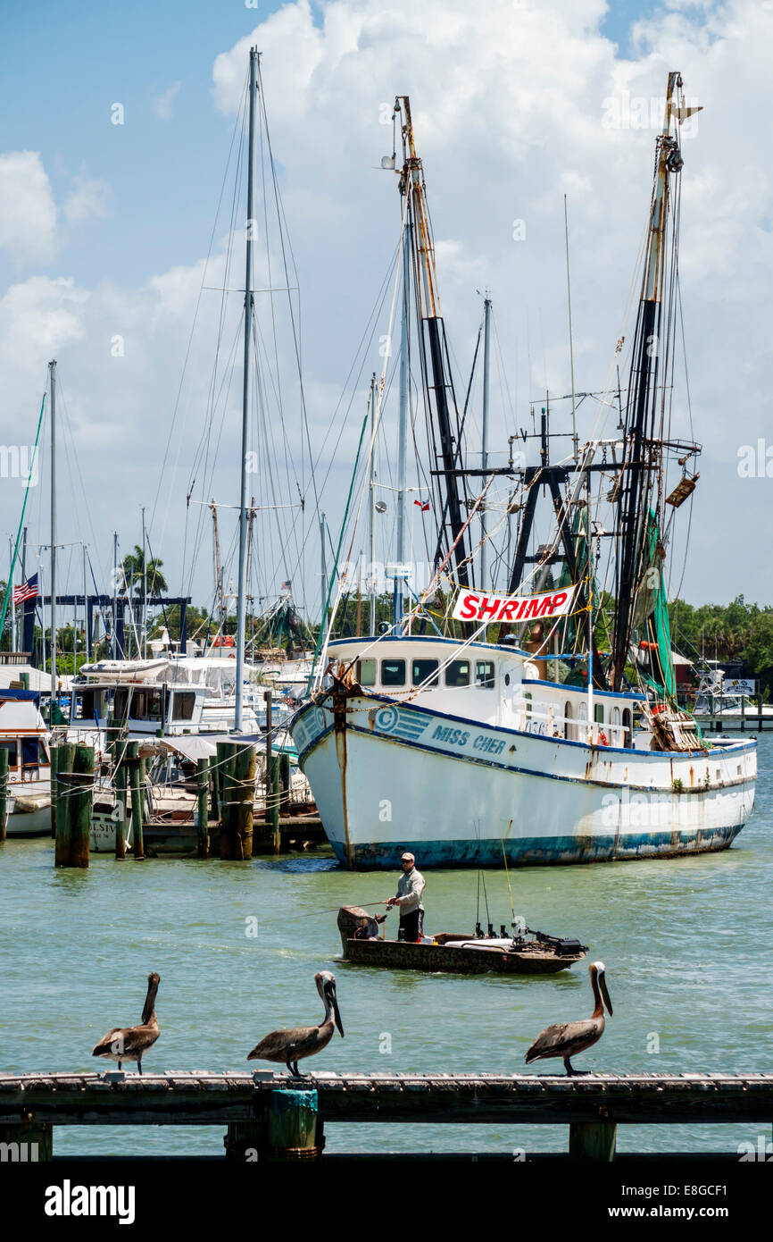 Florida, Fort Ft. Myers Beach, Matanzas Pass, barcos, trawler de camarones comerciales, barco, pelícanos, pelícanos, hombres hombres, pesca, FL140501017 Foto de stock