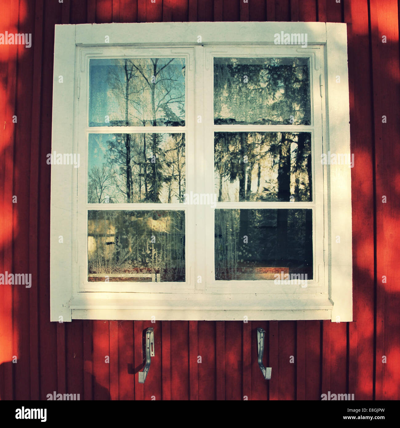 Ventana con reflexión de árbol Foto de stock