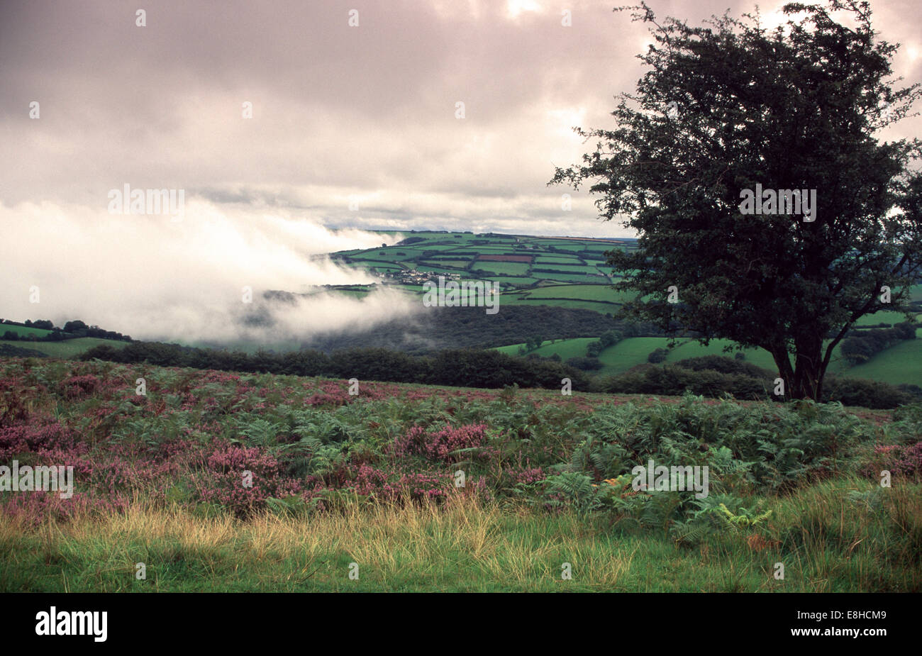 Niebla elevándose en Exmoor National Park Foto de stock