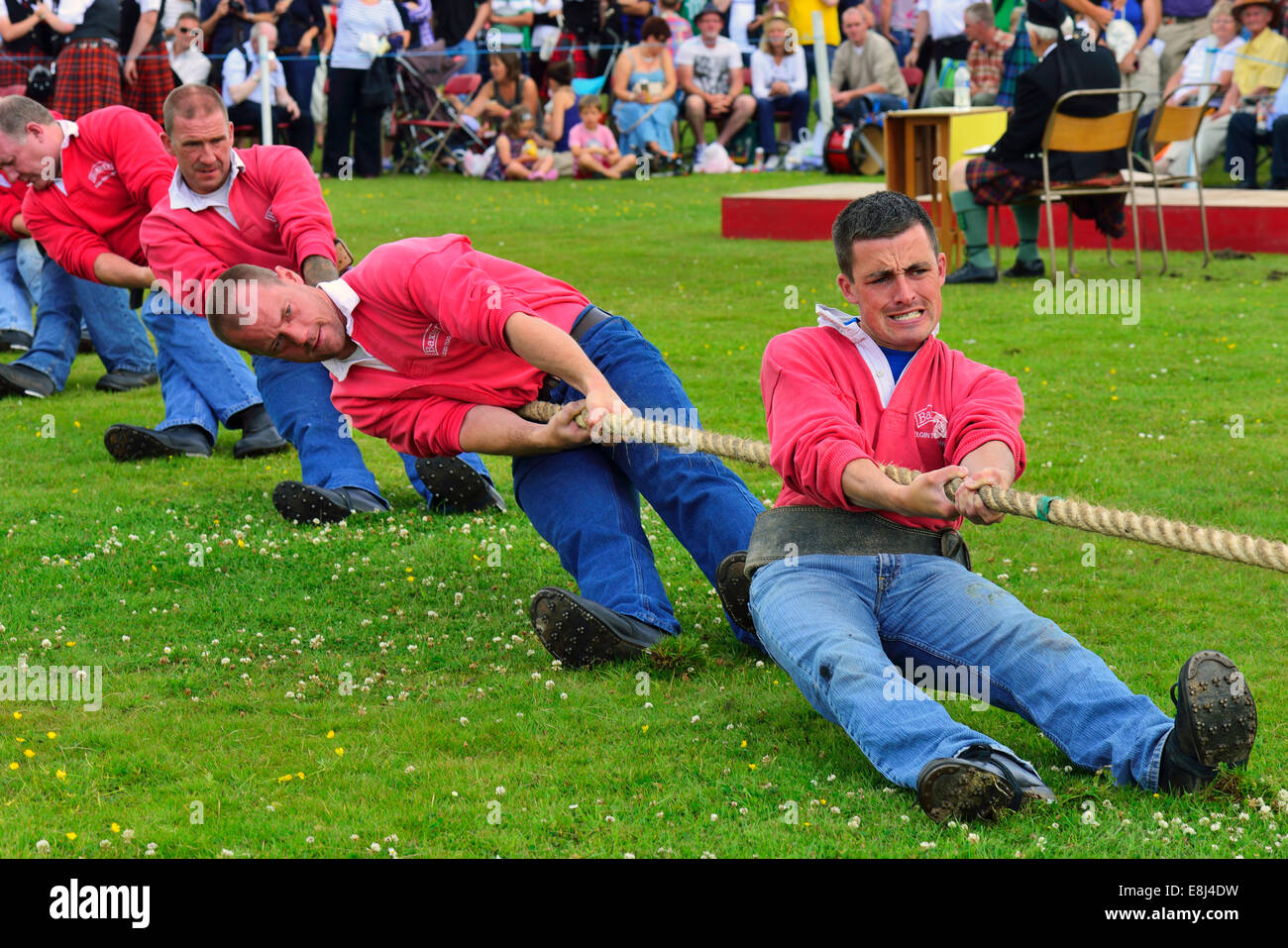 Tug-of-War, una de las disciplinas en la Highland Games, Dufftown, Moray, Highlands, Scotland, Reino Unido Foto de stock