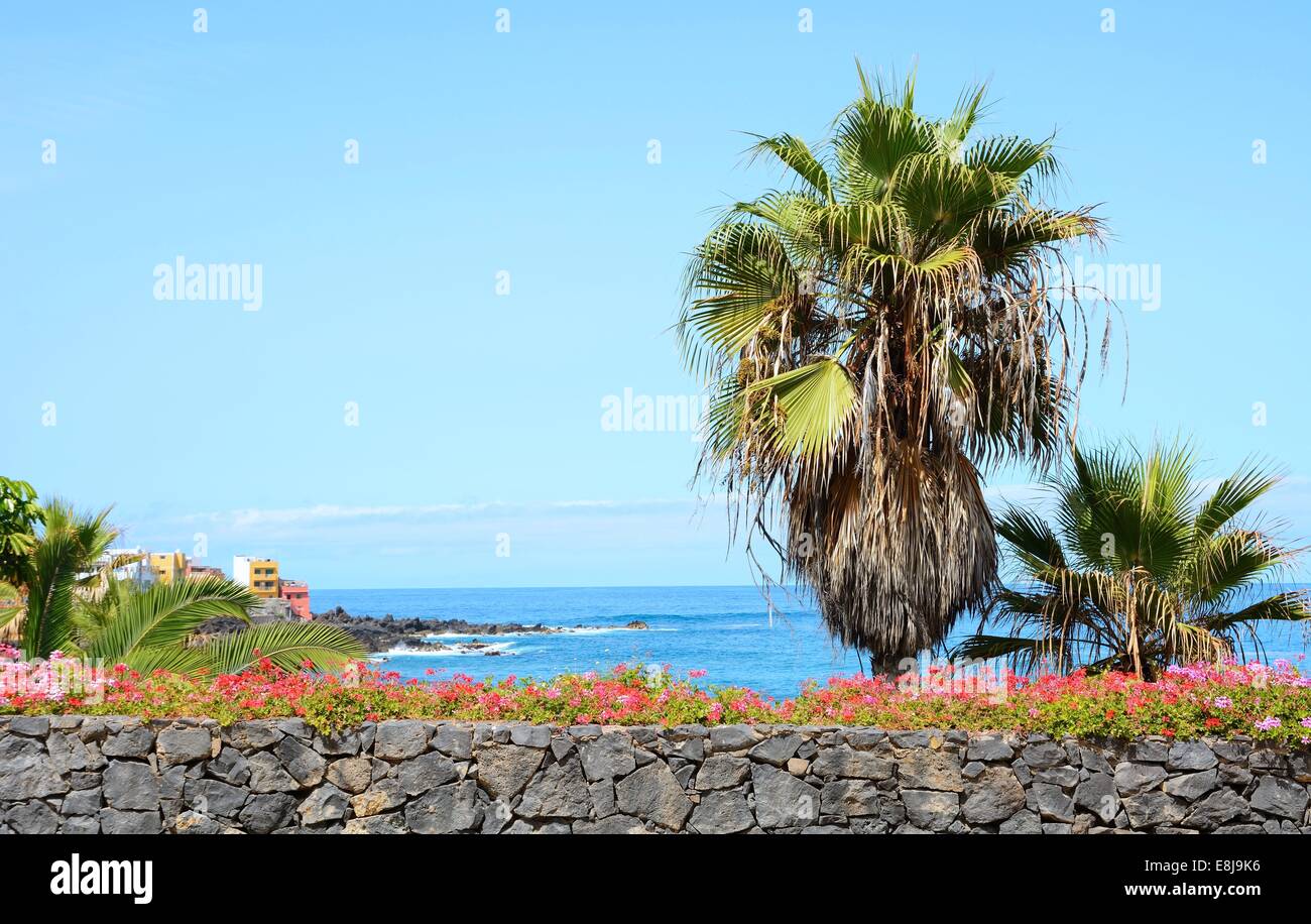 Vista del océano con palmeras en primer plano. Foto de stock